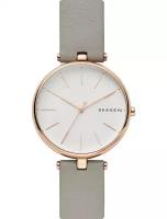 Наручные часы Skagen SKW2710