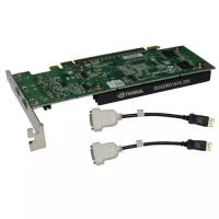 Видеокарта PNY nVIDIA Quadro NVS 295 256Mb