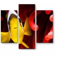 Модульная картина Picsis Рыбка в кораллах (60x54)