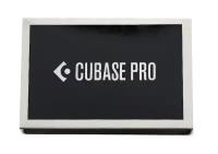 Программное обеспечение Steinberg Cubase Pro Retail