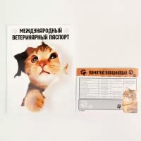 Набор обложка для ветеринарного паспорта "Международный ветеринарный" и памятка для кошки