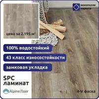 Кварцвиниловая плитка SPC ламинат Alpine Floor Premium XL ABA-ЕСО-7-4 Дуб Грей Дождливый 1524 х 180 х 8 мм 43 класс, встроенная подложка