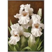 Алмазная мозаика «Iris ILLumination II» 29.5x20.5 см, 24 цветов