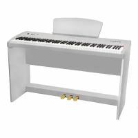 Клавишный инструмент Sai Piano P-9WH