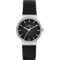 Наручные часы SKAGEN SKW2193