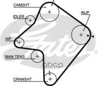 (8597-15354) Ремень Грм Gates арт. 5354XS