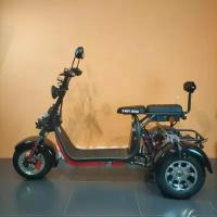 White Siberia CityCoco WS-PRO 3000w TRIKE+, черный