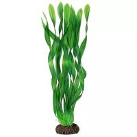 Растение 3455 "Валлиснерия" зеленая, 350мм