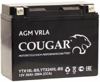 Аккумулятор для мотоцикла и скутера Cougar AGM VRLA 12V 20 А/ч 290 А обр. пол. залит/заряжен YTX18L-BS, YTX24HL-BS (205х90х159)