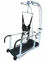 American motion fitness Беговая дорожка AMF 8230