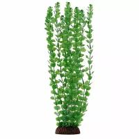 Растение LAGUNA "Бакопа" зеленая, 400мм