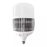 Лампочка светодиодная LED-M80-100W/6500K/E27/FR/NR (Volpe)