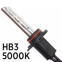 Ксеноновая лампа SVS HB3 5000K