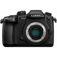 Фотоаппарат Panasonic Lumix DC-GH5 Body