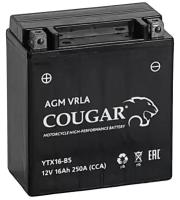 Аккумулятор мотоциклетный COUGAR AGM VRLA 12V16 YTX16-BS 150x86x161