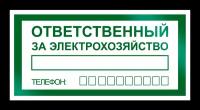 Знак (плакат) на пластике «Ответственный за электрохозяйство» (пластик, 200х100 мм)