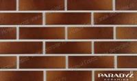 Клинкерные фасадные термопанели KlinkerWand Universal с плиткой под кирпич Paradyz Aquarius Brown