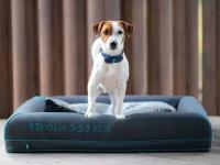 Матрас Askona Dog Bed