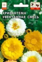 Хризантема Увенчатая смесь