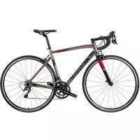 Wilier Montegrappa Tiagra 2.0 2021