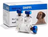 Nobivac Вакцина для собак Нобивак DHP-Pi против чумы плотоядных, парвовирусного энтерита, аденовирусной инфекции и парагриппа, 1 ампула