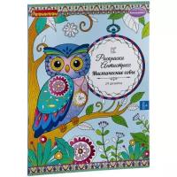 Раскраска-антистресс BONDIBON ВВ1979 Мистические совы, 24 дизайна