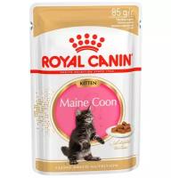 Royal Canin Breed Kitten Maine Coon