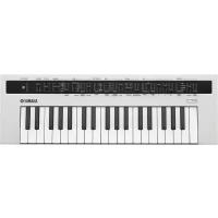 Синтезаторы Yamaha REFACE CS