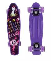 Penny board (пенни борд) RGX 207 PNB-07 22" LED