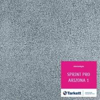 Линолеум Tarkett Sprint Pro Arizona 1 в нарезку (2,5м) 230416029 (15 м2)