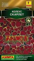 Семена. Колеус блюме "Скарлет"