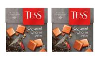 Чай черный в пирамидках Tess Сaramel Charm (Тесс Карамель Шарм), 20*1,8 г (комплект 2 шт.) 6008832