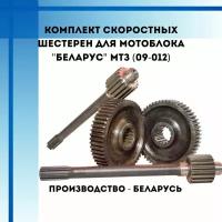 Комплект скоростных шестерен для мотоблока "Беларус" МТЗ (09-012)