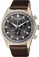 Наручные часы Citizen AT2393-17H