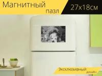 Магнитный пазл "Собака, золотой, золотистый ретривер" на холодильник 27 x 18 см