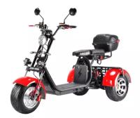 WS PRO TRIKE+ 3000W