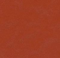 Мармолеум Forbo: Натуральный линолеум 3352 Berlin red (Forbo Marmoleum Walton)