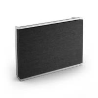 Беспроводная акустика для дома Bang & Olufsen Beosound Level Natural/Dark Grey