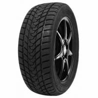 Delinte Winter WD1 175/70 14 88T