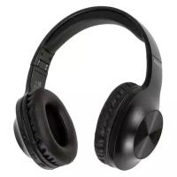 Наушники Panasonic RB-HX220BEEK, 3.5 мм/Bluetooth, мониторные, черный