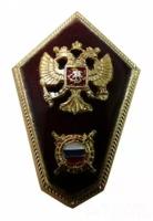 Нагрудный знак СШ МВД РФ