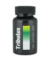 Травы для тестостерона Envenom Pharm, Tribulus, 650 мг, 60 капсул, 60 порций