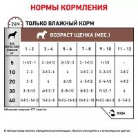 Royal Canin 195г. корм для щенков Гастроинтестинал Паппи