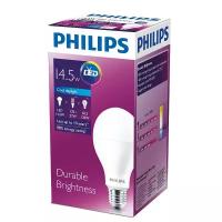 Лампа Philips E27 6500K