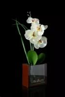 Композиция цветочная "Орхидея" 35см 90419