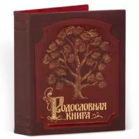 Родословная книга Изысканная кож.облож. с золотой росписью (подар.упак) РК-055 KNP-РК-055