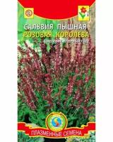 Цветы Сальвия пышная Розовая Королева 0,05 г, (однолетние) Плазма