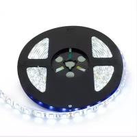 Светодиодная лента SMD5050-60LED--12V Double line 5м.,Синий