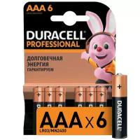 Батарея Duracell Professional AAA LR03/MN2400 6шт