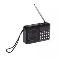 TELEFUNKEN Радиоприемник Telefunken TF-1667, FM+ 87.5 МГц - 108 МГц, MP3, USB, microSD,800 мАч, чёрный